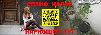стаф Бузулук