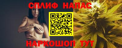 a pvp Будённовск