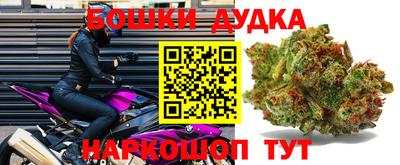 стаф Бузулук