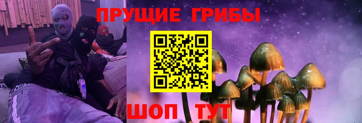 Галлюциногенные грибы Коряжма